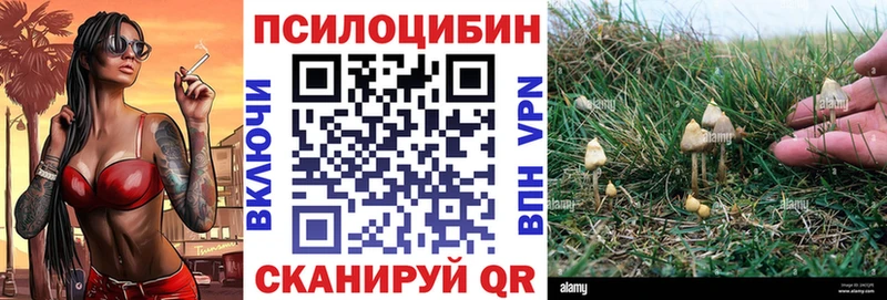 купить Невель Галлюциногенные грибы MAGIC MUSHROOMS